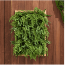 Ver imagem 1 de Folhagem Artificial Placa Samambaia e Avenquinha Verde 65x45cm