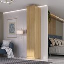 Ver imagem 1 de Guarda-Roupa 1 Porta MDF Ravi Marrom/Olmo Italiano