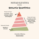 Ver imagem 3 de Vela Aromática Decorativa Brilho de Natal com Pavio de Algodão e Cera de Coco 120GR Essência Premium