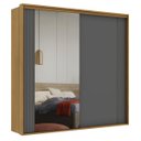 Ver imagem 4 de Guarda Roupa Casal 2 Portas Mdf Ripado com Espelho Imperium Belmax:freijó/titânio