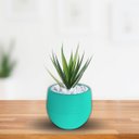 Ver imagem 2 de Vaso Hidropônico Babyball Cor Verde Retrô All Garden