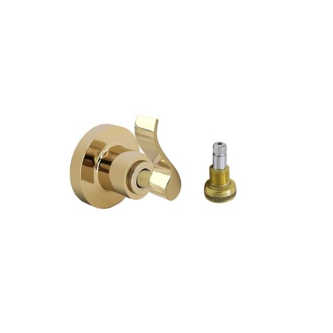Acabamento Para Registro Chuveiro Dourado Brilhante Alavanca Banheiro Padrão Fabrimar 1/2" - 3/4" - 