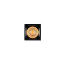 Ver imagem 4 de Espeto para Jardim Stella Hide Recuado Led 5w Bivolt Preto 3000k - Luz Amarela