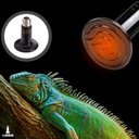 Ver imagem 6 de Lâmpada Cerâmica Aquecedor Infravermelho Terrários Répteis Anfíbios Aves