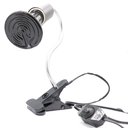 Ver imagem 7 de Lâmpada Cerâmica Aquecedor Infravermelho Terrários Répteis Anfíbios Aves