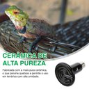 Ver imagem 4 de Lâmpada Cerâmica Aquecedor Infravermelho Terrários Répteis Anfíbios Aves