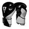Luva de Boxe e Muay Thai Prime Training Gloves 10OZ Title Azul - 1