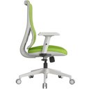 Ver mais imagens de Cadeira Ergonômica de Escritório Sigma Movescan Verde
