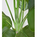 Ver imagem 2 de Bananeira Artificial Grande Planta para Decoração Sala 160cm.