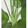 Bananeira Artificial Grande Planta para Decoração Sala 160cm. - 2