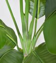 Ver imagem 2 de Bananeira Artificial Grande Planta para Decoração Sala 160cm.