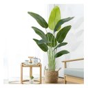 Ver imagem 1 de Bananeira Artificial Grande Planta para Decoração Sala 160cm.