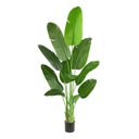 Ver imagem 3 de Bananeira Artificial Grande Planta para Decoração Sala 160cm.