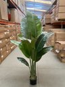 Ver imagem 7 de Bananeira Artificial Grande Planta para Decoração Sala 160cm.