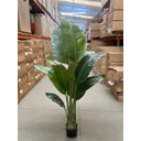 Ver imagem 7 de Bananeira Artificial Grande Planta para Decoração Sala 160cm.