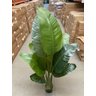 Bananeira Artificial Grande Planta para Decoração Sala 160cm. - 5
