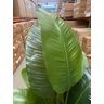 Bananeira Artificial Grande Planta para Decoração Sala 160cm. - 6