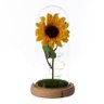 Luminária Girassol eterno flor imortal A Bela E A Fera Cúpula de vidro Presente de dia das mães Pres - 5