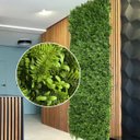 Ver imagem 6 de 5 Placas de Folhagem Artificial Jardim Vertical Cobertura Premium sem Manutenção Fácil Instalação
