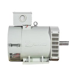 Alternador 21,6 KVA Trifásico 220/380V 4 Polos TA20.0CT2-380 TOYAMA - 2