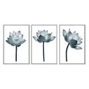 Ver imagem 1 de Kit 03 Quadros Decorativos - Flor de Lotus Azul Minimalista Flnt003 - Vidro Impressão Uv - 40x60cm