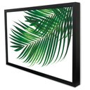 Ver imagem 3 de Quadro Decorativo Floral Folha Palmada Verde em Moldura Caixa Tacolado Moldura Trad 1cm Branca com V