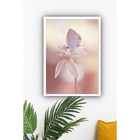 Quadro Decorativo Borboleta Flor Branca - 70x50cm:moldura Preta