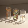 Jogo De 6 Copos De Cristal P/ Suco 340Ml Oxford Ginga Arara - 4