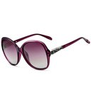 Ver imagem 1 de Óculos de Sol Polarizados Uv400 Feminino de Luxo Design Retro