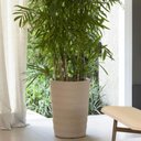 Ver imagem 3 de Vaso Grego Alto Decorativo de Flor 50cm Folhagem Tramontina Plástico Acabamento Granito Areia