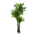 Ver imagem 1 de Planta Árvore Artificial Dracena Real Toque Verde 2m