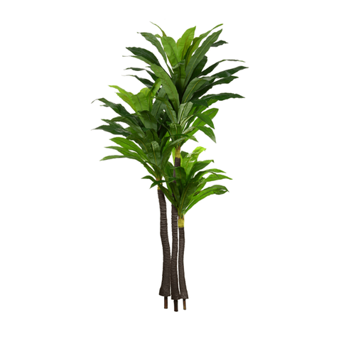 Planta Árvore Artificial Dracena Real Toque Verde 2m