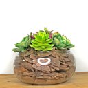 Ver imagem 5 de Arranjo de Suculentas Artificiais em Terrário de Vidro Sofi