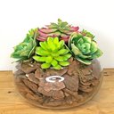 Ver imagem 1 de Arranjo de Suculentas Artificiais em Terrário de Vidro Sofi