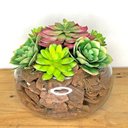 Ver imagem 2 de Arranjo de Suculentas Artificiais em Terrário de Vidro Sofi