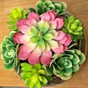 Ver imagem 3 de Arranjo de Suculentas Artificiais em Terrário de Vidro Sofi