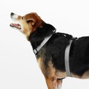 Ver imagem 3 de Peitoral H Preto e Cinza Tam. P Mimo - PP280 PP280