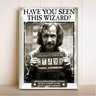Placa Decorativa Quadro Harry Potter Sirius Black Bruxo - 1