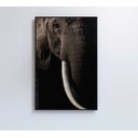 Ver mais imagens de Quadro Natureza Elefante Africano Decor&quadros Nat153 80x120 Cm Tecido Canvas