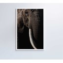 Ver imagem 2 de Quadro Natureza Elefante Africano Decor&quadros Nat153 80x120 Cm Tecido Canvas