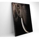 Ver imagem 1 de Quadro Natureza Elefante Africano Decor&quadros Nat153 80x120 Cm Tecido Canvas