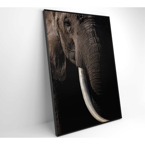 Quadro Natureza Elefante Africano Decor&quadros Nat153 80x120 Cm Tecido Canvas