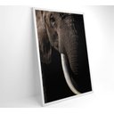 Ver imagem 3 de Quadro Natureza Elefante Africano Decor&quadros Nat153 80x120 Cm Tecido Canvas