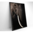 Ver imagem 4 de Quadro Natureza Elefante Africano Decor&quadros Nat153 80x120 Cm Tecido Canvas