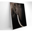 Ver imagem 5 de Quadro Natureza Elefante Africano Decor&quadros Nat153 80x120 Cm Tecido Canvas
