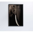 Ver imagem 6 de Quadro Natureza Elefante Africano Decor&quadros Nat153 80x120 Cm Tecido Canvas