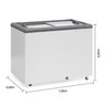 Freezer Conservador Horizontal Ghd-300/cz/127v 60hz - 1