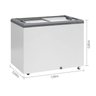 Freezer Conservador Horizontal Ghd-300/cz/220v 60hz - 2