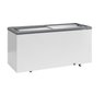 Freezer Horizontal Ghd-500/cz/127v 60hz - 1
