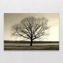 Ver imagem 1 de Quadro Decorativo Arvore Galhos Secos Sem Moldura e Sem Vidro 80X120